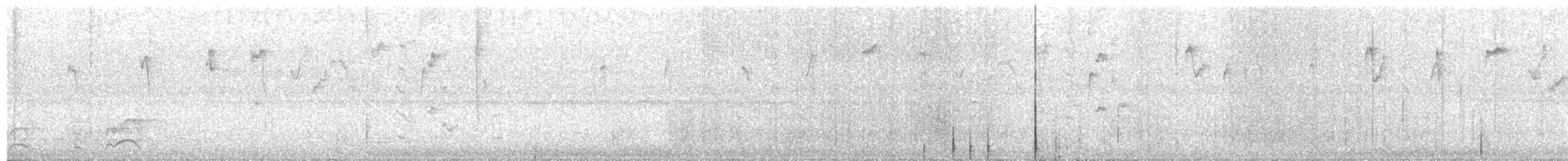 Пестрогорлый колибри-отшельник - ML67486651