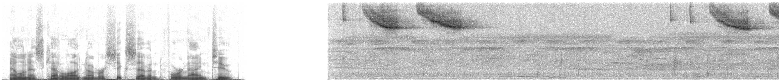 Pectoral Sparrow - ML67492