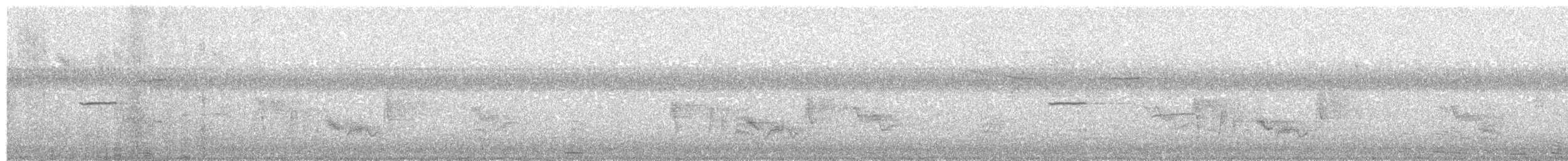 Vireo Ojiblanco - ML67536111