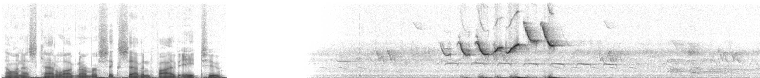 Golden-crowned Warbler (Golden-crowned) - ML67582