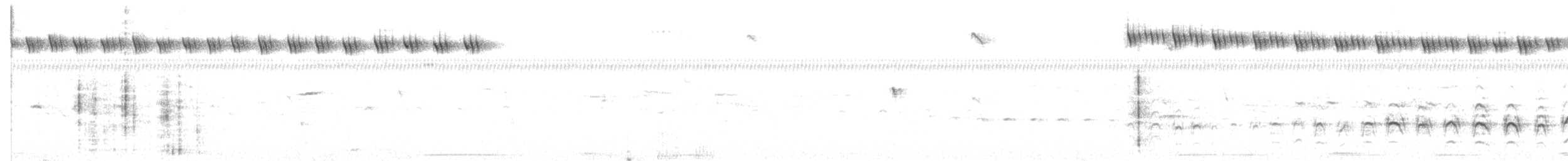 Gilded Hummingbird - ML67589041