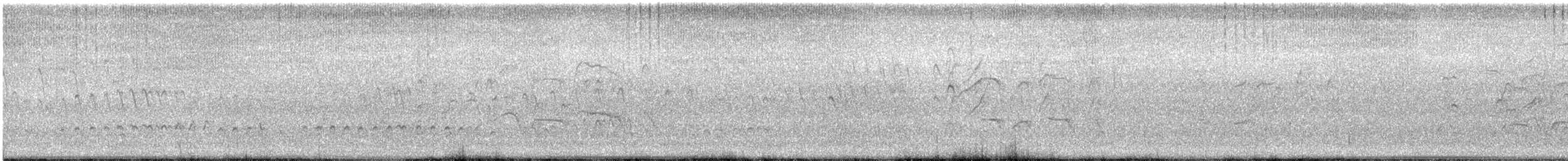 Kara Karınlı Islıkçı Ördek - ML67621871