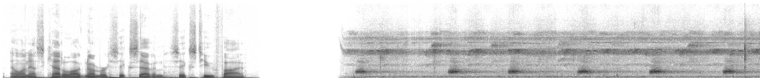 Кайеннская пенелопа - ML67625