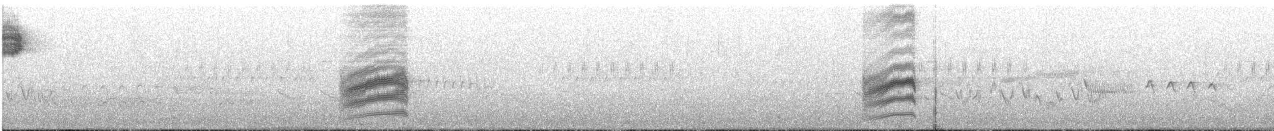 Тауї плямистий - ML67639671