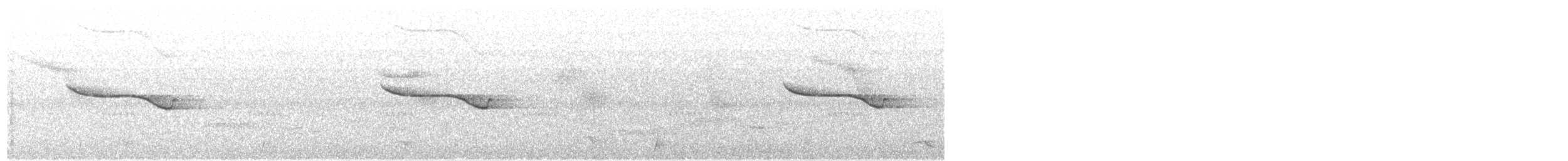 Breitspiegel-Nachtschwalbe - ML67663311