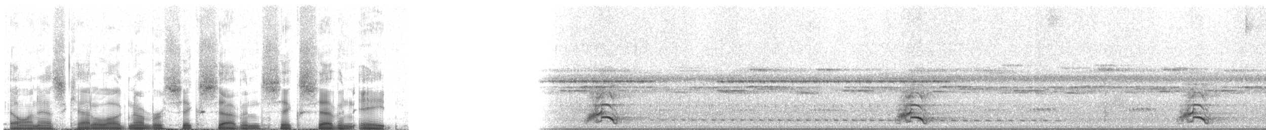 Band-tailed Guan - ML67678