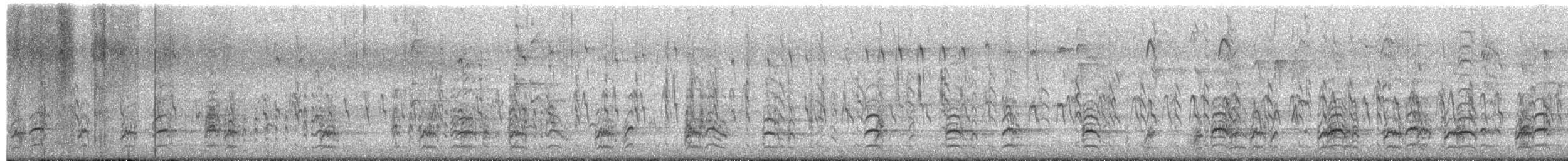 Black-necked Stilt (Black-necked) - ML67683591