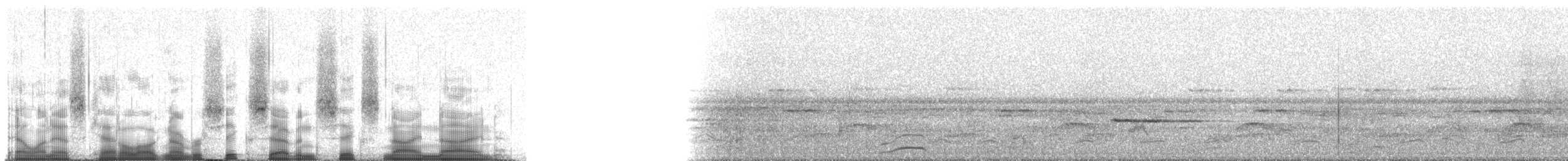 Band-tailed Guan - ML67699