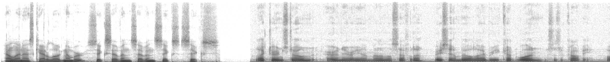 Black Turnstone - ML67766