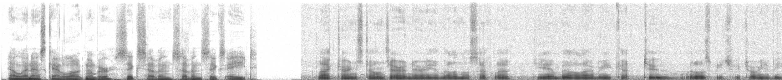 Black Turnstone - ML67768