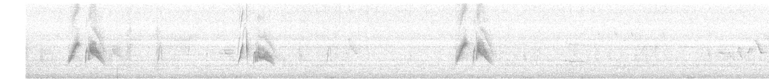 Weidenschnäppertyrann - ML67788541