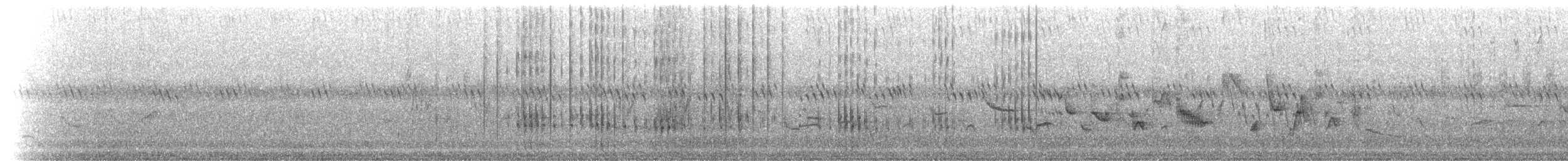 Schmalschnabel-Königstyrann - ML67801451