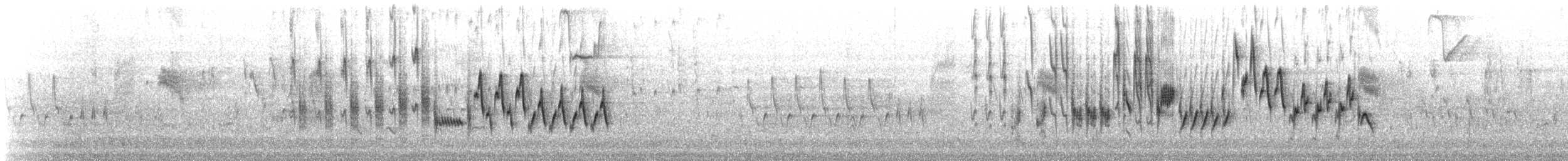 Troglodyte familier - ML67801491