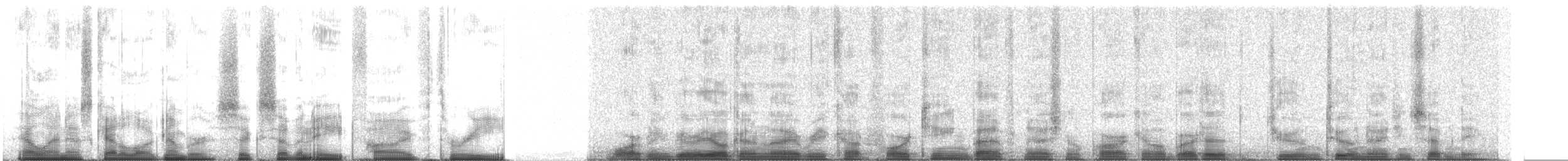 Warbling Vireo (Western) - ML67853