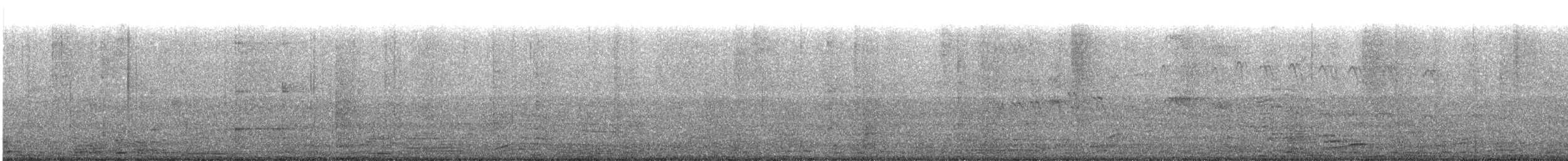 シロハラアマツバメ - ML67881511
