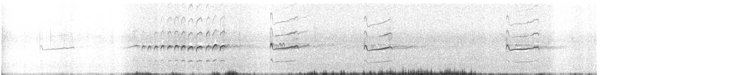 Chorlitejo Culirrojo - ML67919341