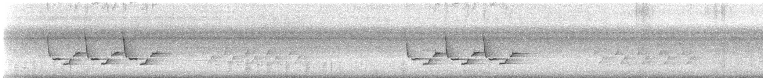 Поплітник каролінський - ML67926261