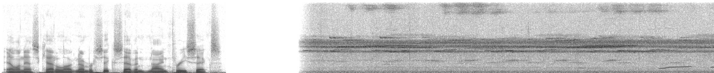 Band-tailed Guan - ML67936