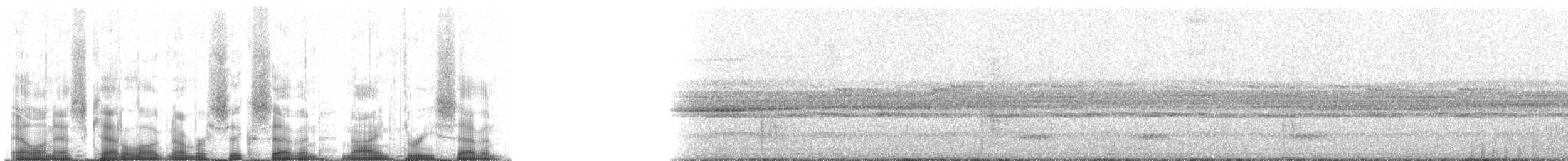 Band-tailed Guan - ML67937