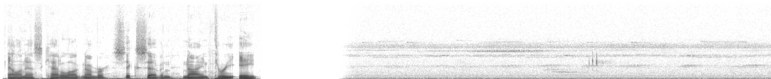 Band-tailed Guan - ML67938