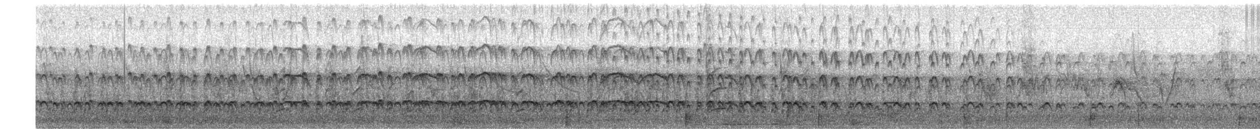 Braunmantel-Austernfischer - ML67939301