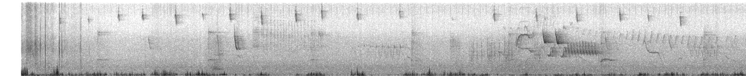 Gray-hooded Sierra Finch (minor) - ML67940351