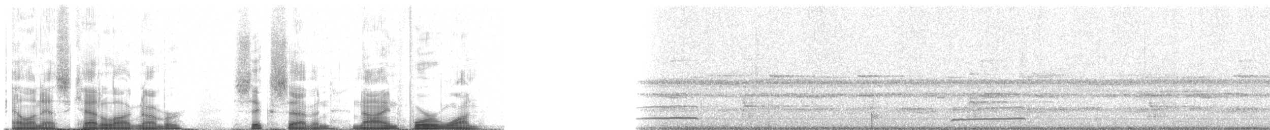 Band-tailed Guan - ML67941