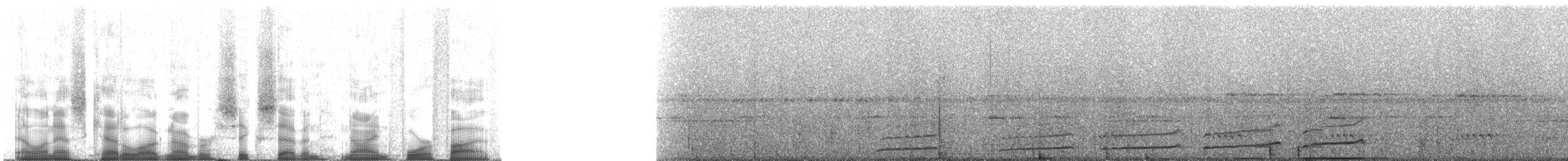 Band-tailed Guan - ML67945