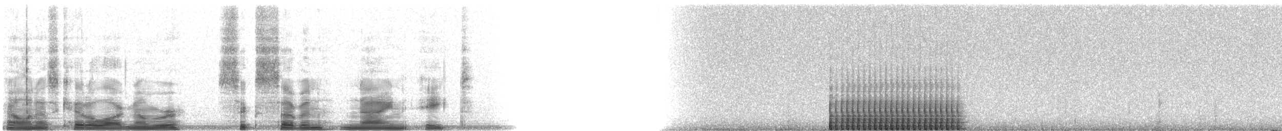 Northern Flicker (Yellow-shafted) - ML6798