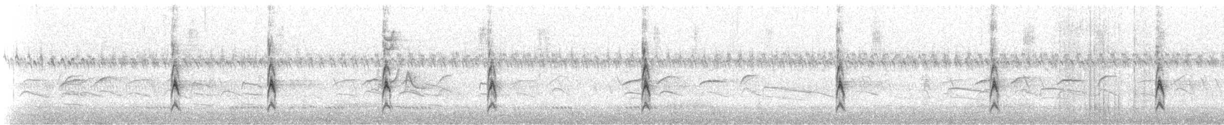 strnadec zpěvný (ssp. melodia/atlantica) - ML67994681