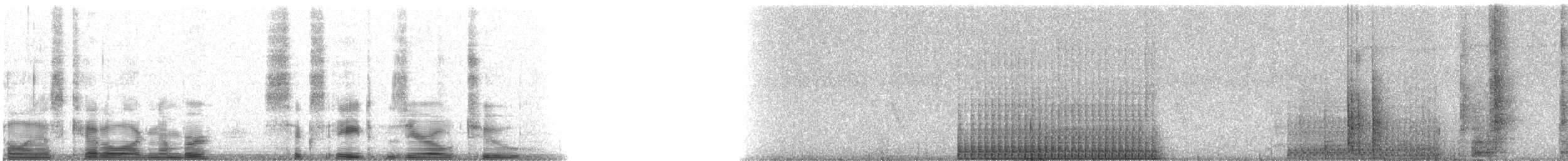 Northern Flicker (Yellow-shafted) - ML6802