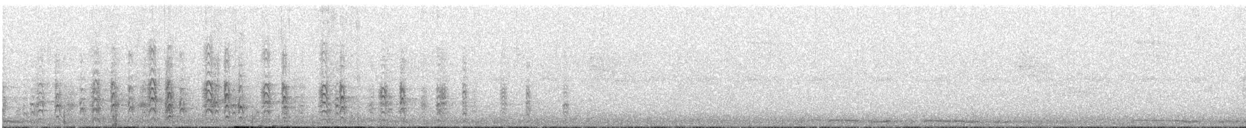 Гіла чорновола (підвид angustifrons) - ML68021691