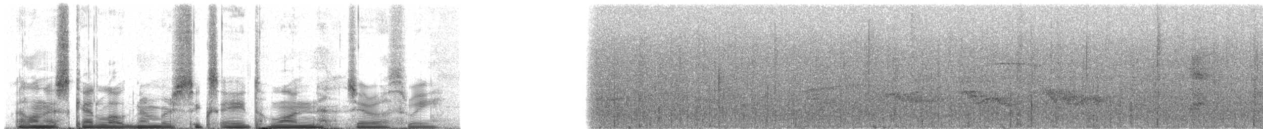 Merle de Reeve - ML68103