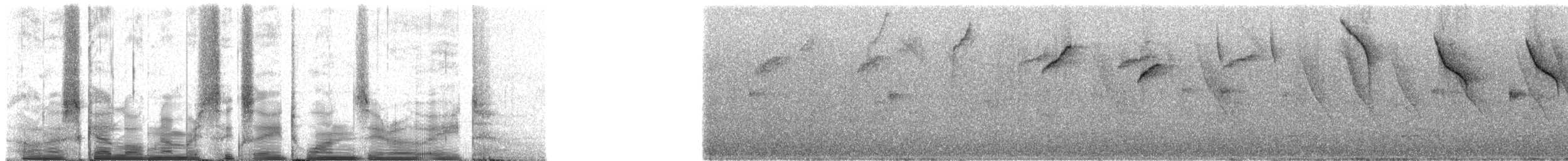 Tangara à calotte noire (atropileus) - ML68108