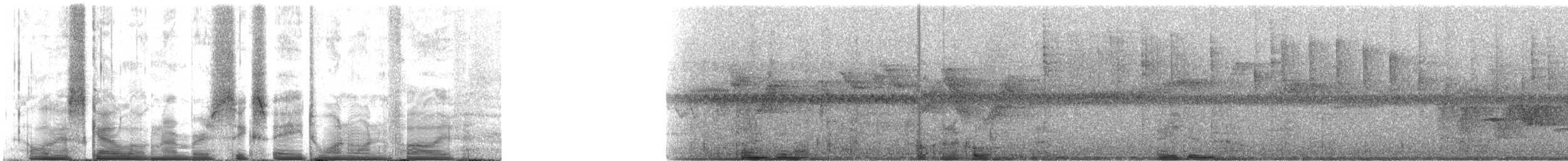 Горная агуйя-отшельник - ML68115