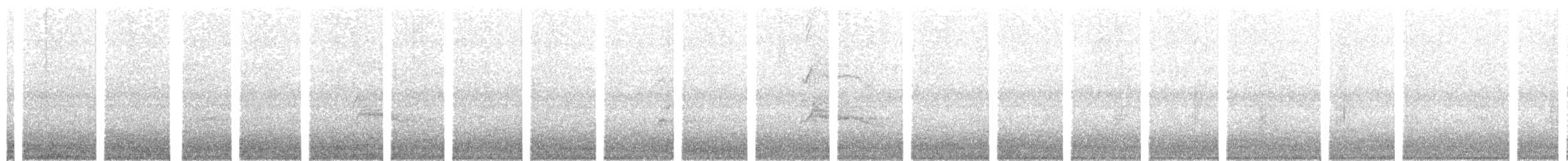 Eckschwanzsperber - ML68123601