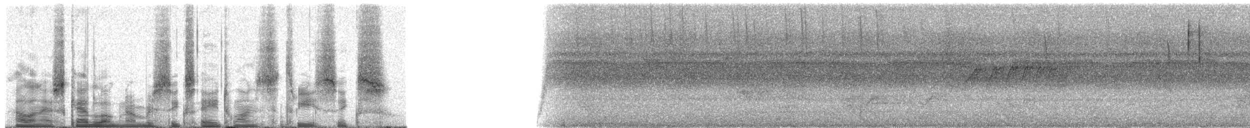 Yanardöner Zümrüt [versicolor grubu] - ML68136