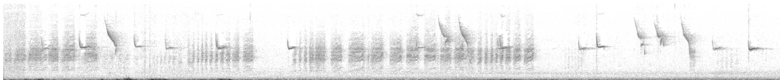 Coal Tit (Cyprus) - ML68138681