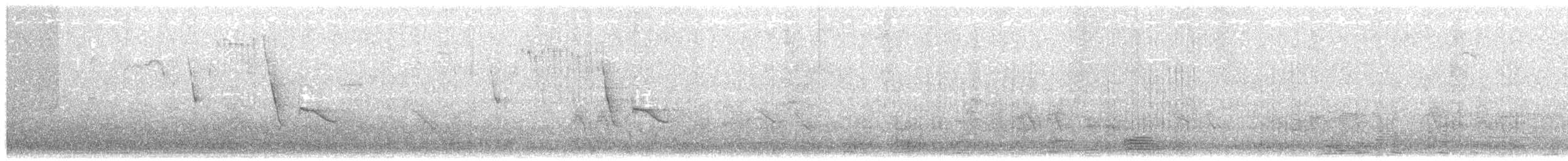 Coal Tit (Cyprus) - ML68138751