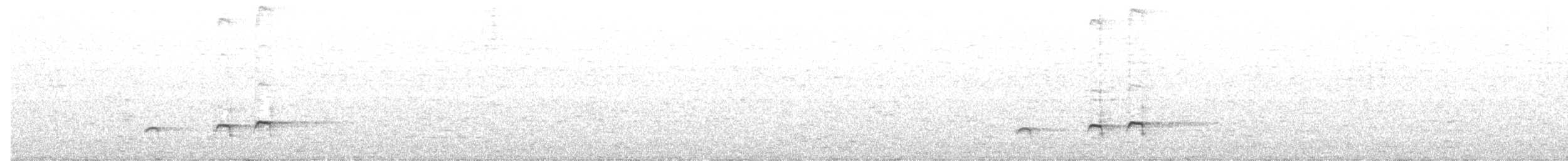 Grallaire d'Urrao - ML68154901