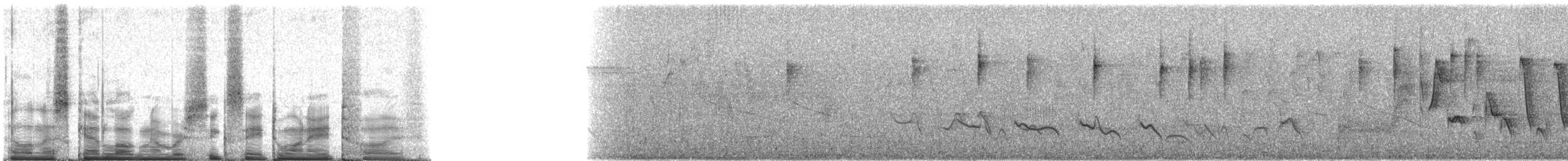 Paruline trifasciée - ML68185