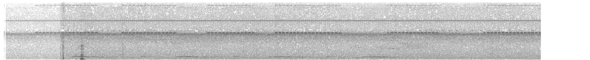 holub neotropický - ML68215451