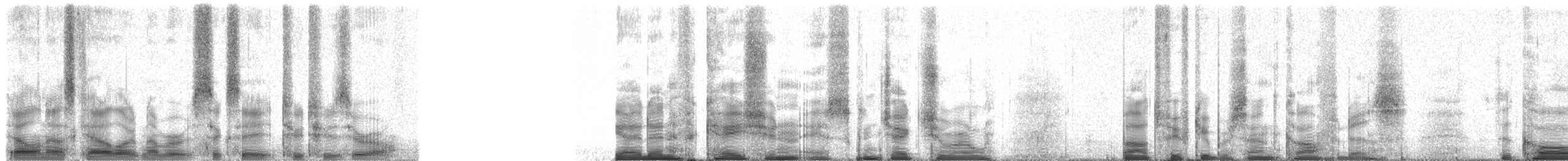 Strix (neotropisch), unbestimmt - ML68220