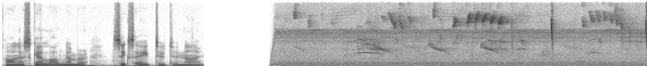 Sarı Telekli Yassıgaga (obscuriceps) - ML68229