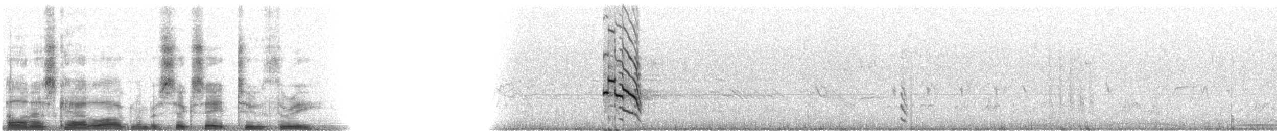 Goldspecht [cafer-Gruppe] - ML6823