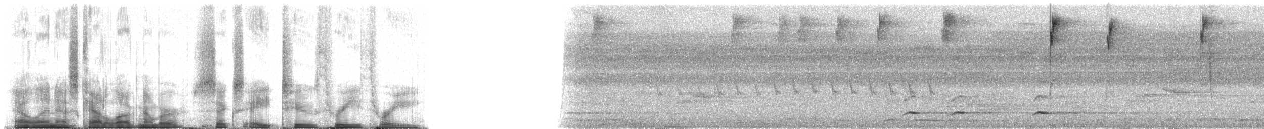 opalgumptanagar (velia gr.) - ML68233