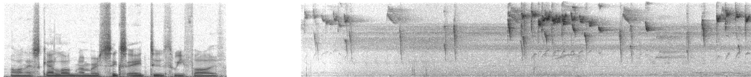 opalgumptanagar (velia gr.) - ML68235