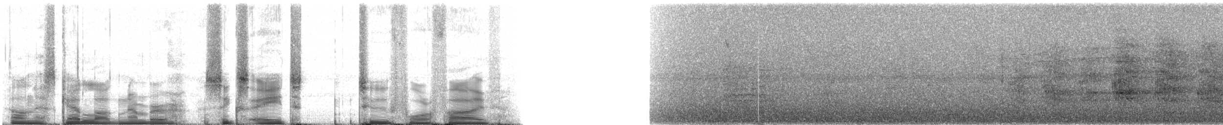 Колібрі-зіркохвіст фіолетововолий - ML68245
