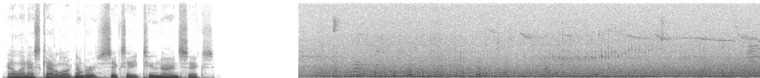 Isabellstreifen-Meisenschlüpfer - ML68296