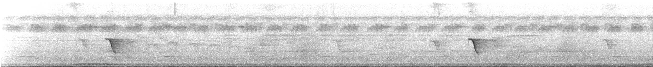 Окулярник ранонгійський - ML68303801